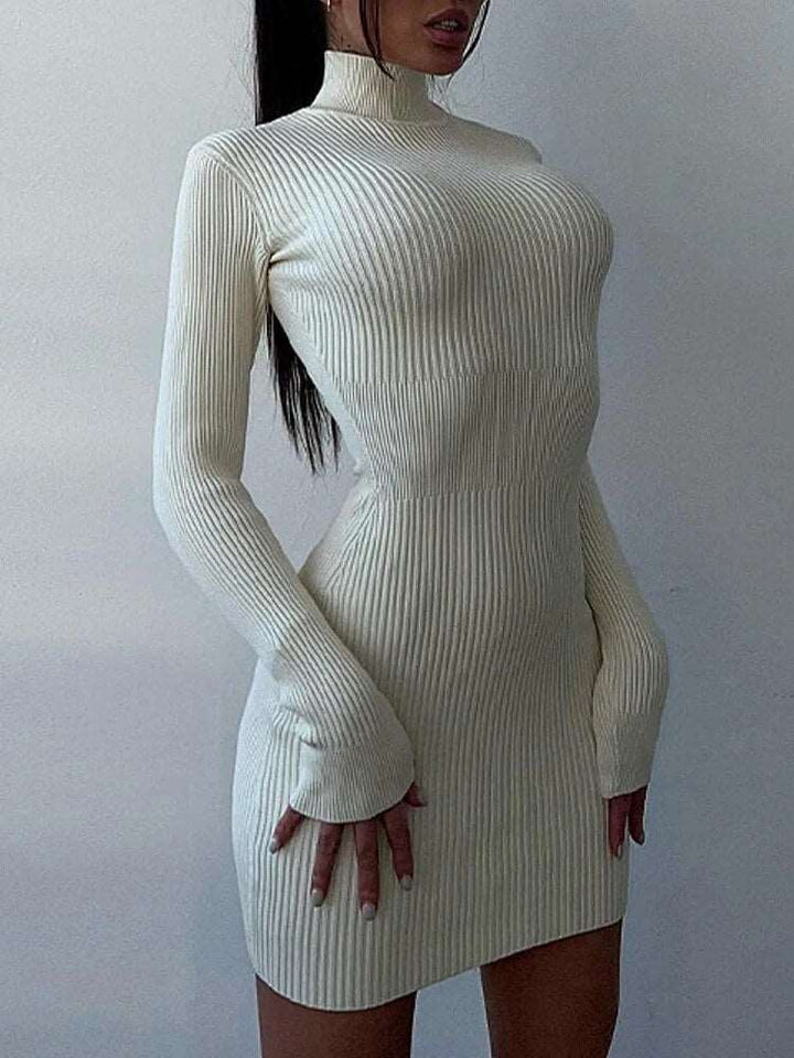 Nerida Knit Mini Dress