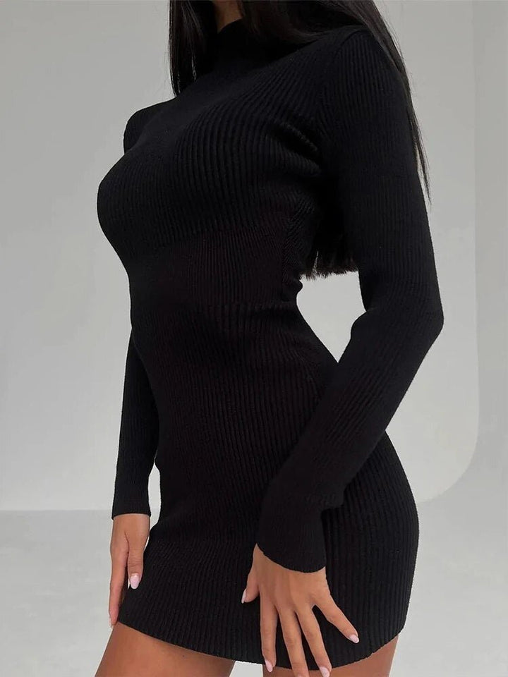 Nerida Knit Mini Dress